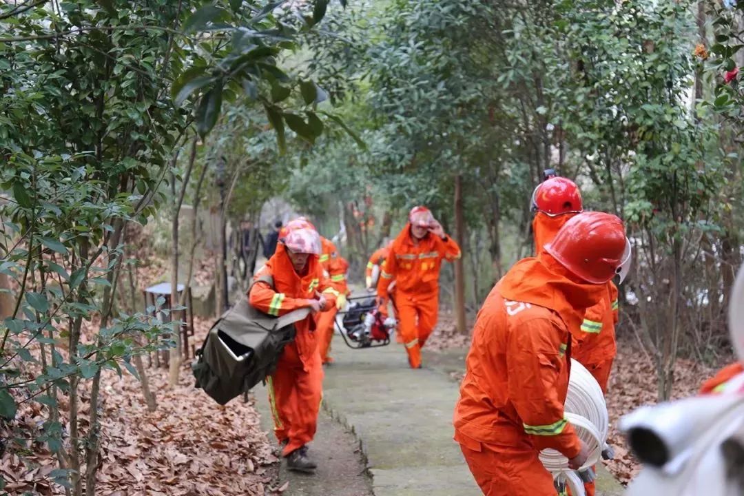 清明時節(jié)，區(qū)長緊盯森林防火，要求必須全力以赴，嚴防死守！