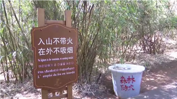 贊！雞足山景區(qū)連續(xù)35年無森林火災(zāi)，因?yàn)樗麄?..